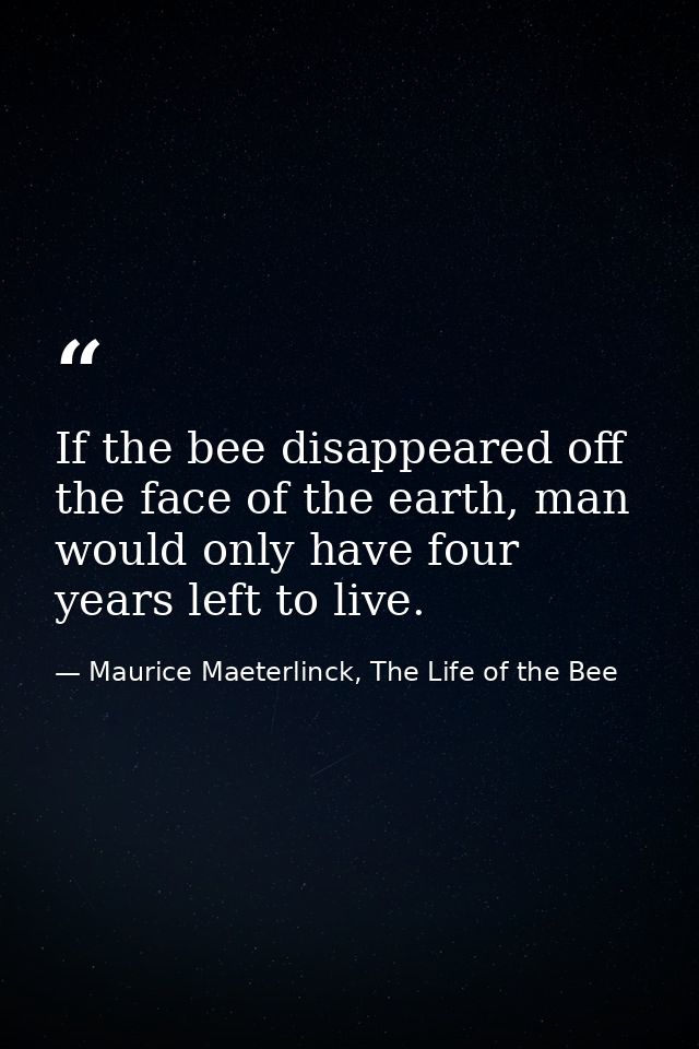 If the bee disappeared off the face of the earth, man would only have four years left to live. — Maurice Maeterlinck, The Life of the Bee