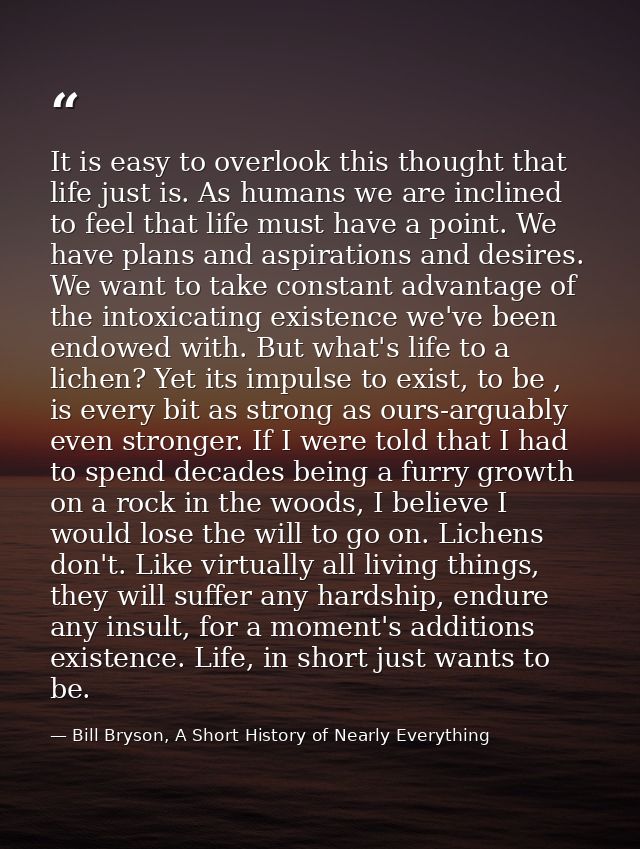 It is easy to overlook this thought that life just is. As humans we are inclined to feel that life must have a point. We — Bill Bryson, A Short History of Nearly Everything