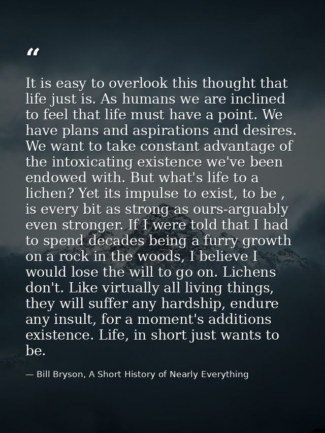 It is easy to overlook this thought that life just is. As humans we are inclined to feel that life must have a point. We — Bill Bryson, A Short History of Nearly Everything