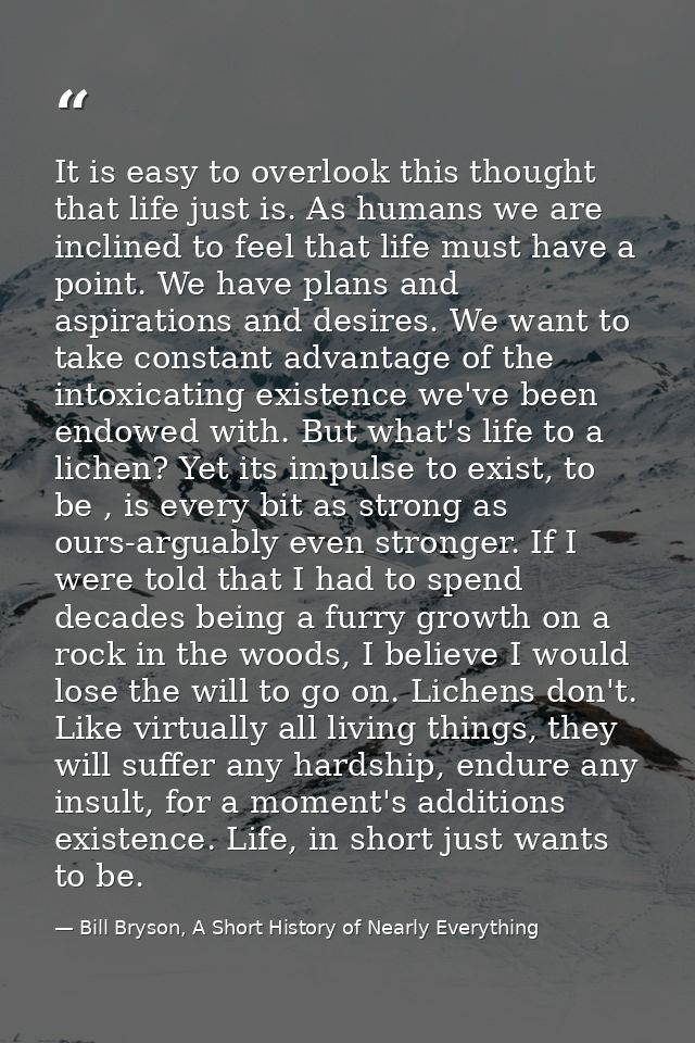 It is easy to overlook this thought that life just is. As humans we are inclined to feel that life must have a point. We — Bill Bryson, A Short History of Nearly Everything