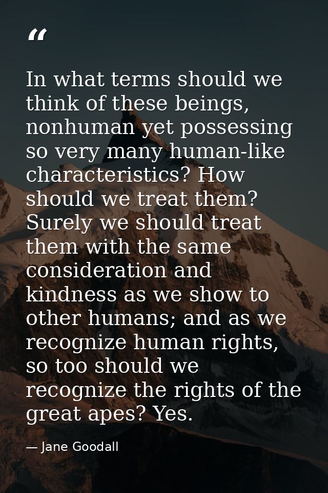 In what terms should we think of these beings, nonhuman yet possessing so very many human-like characteristics? How shou — Jane Goodall