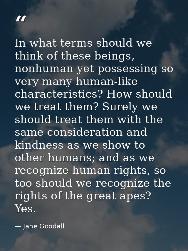 In what terms should we think of these beings, nonhuman yet possessing so very many human-like characteristics? How shou — Jane Goodall