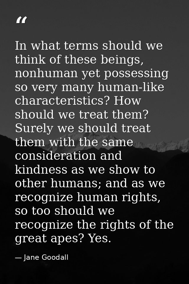 In what terms should we think of these beings, nonhuman yet possessing so very many human-like characteristics? How shou — Jane Goodall