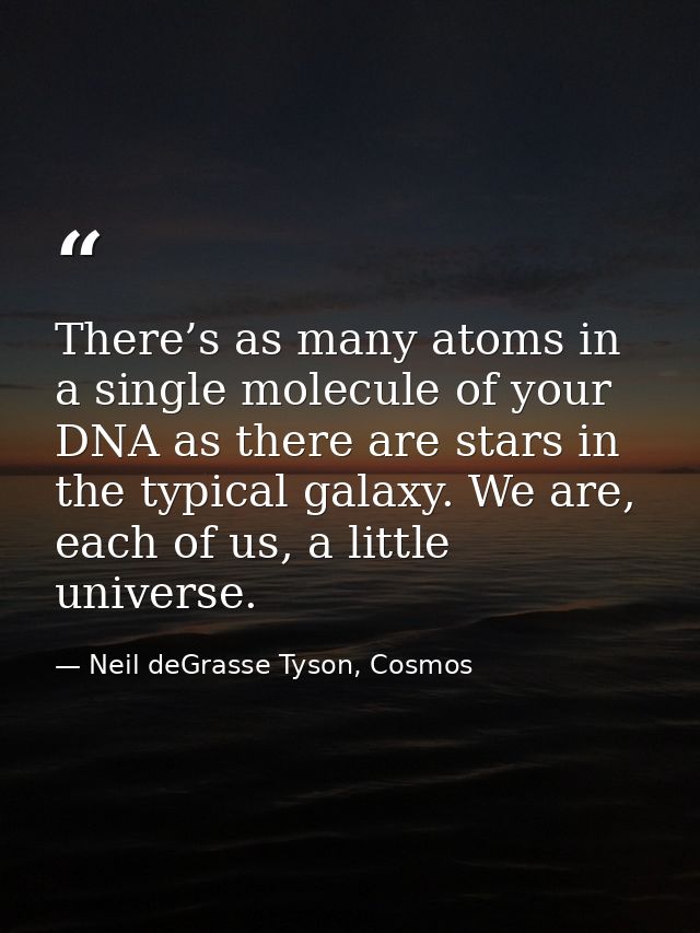 There’s as many atoms in a single molecule of your DNA as there are stars in the typical galaxy. We are, each of us, a l — Neil deGrasse Tyson, Cosmos