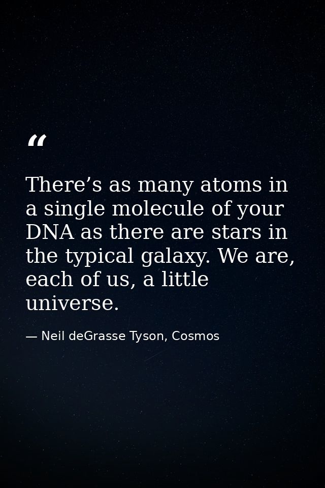 There’s as many atoms in a single molecule of your DNA as there are stars in the typical galaxy. We are, each of us, a l — Neil deGrasse Tyson, Cosmos