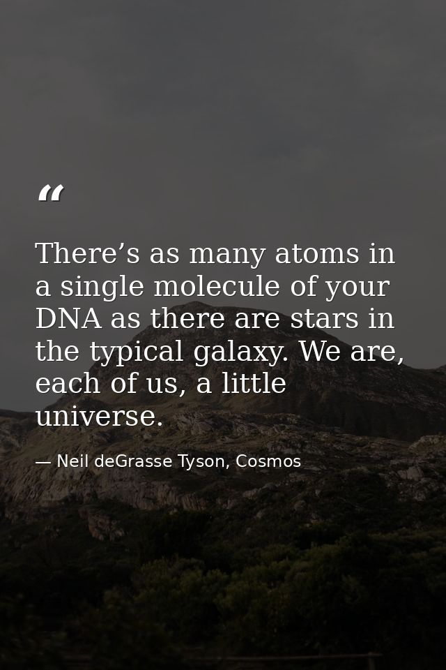 There’s as many atoms in a single molecule of your DNA as there are stars in the typical galaxy. We are, each of us, a l — Neil deGrasse Tyson, Cosmos