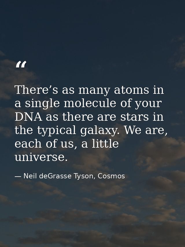 There’s as many atoms in a single molecule of your DNA as there are stars in the typical galaxy. We are, each of us, a l — Neil deGrasse Tyson, Cosmos