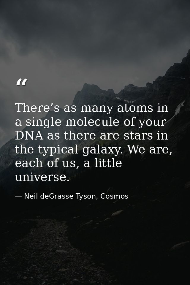 There’s as many atoms in a single molecule of your DNA as there are stars in the typical galaxy. We are, each of us, a l — Neil deGrasse Tyson, Cosmos