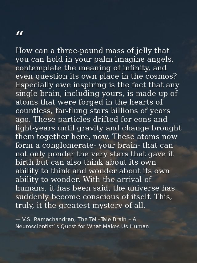 How can a three-pound mass of jelly that you can hold in your palm imagine angels, contemplate the meaning of infinity,  — V.S. Ramachandran, The Tell–Tale Brain – A Neuroscientist`s Quest for What Makes Us Human
