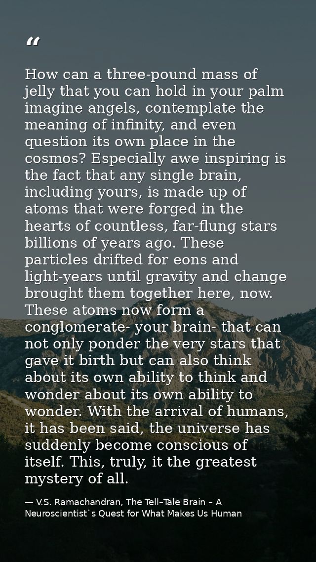 How can a three-pound mass of jelly that you can hold in your palm imagine angels, contemplate the meaning of infinity,  — V.S. Ramachandran, The Tell–Tale Brain – A Neuroscientist`s Quest for What Makes Us Human
