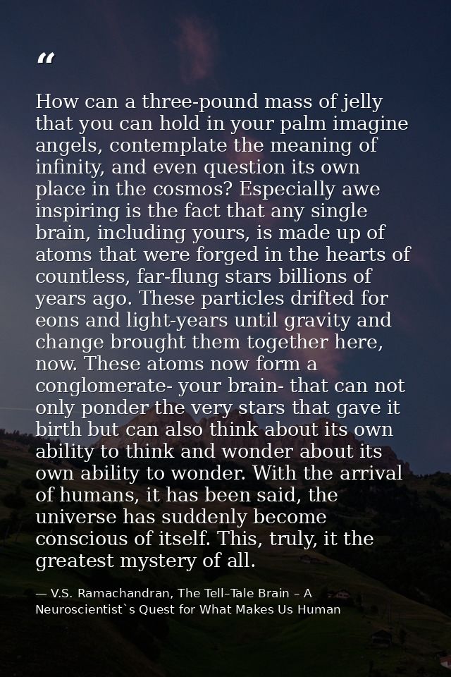 How can a three-pound mass of jelly that you can hold in your palm imagine angels, contemplate the meaning of infinity,  — V.S. Ramachandran, The Tell–Tale Brain – A Neuroscientist`s Quest for What Makes Us Human