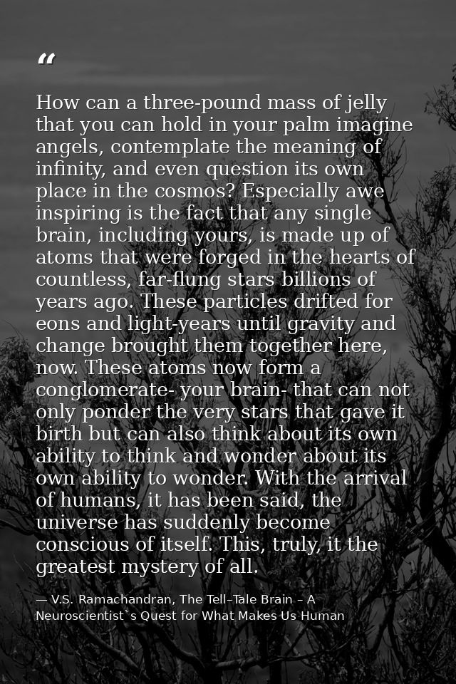 How can a three-pound mass of jelly that you can hold in your palm imagine angels, contemplate the meaning of infinity,  — V.S. Ramachandran, The Tell–Tale Brain – A Neuroscientist`s Quest for What Makes Us Human