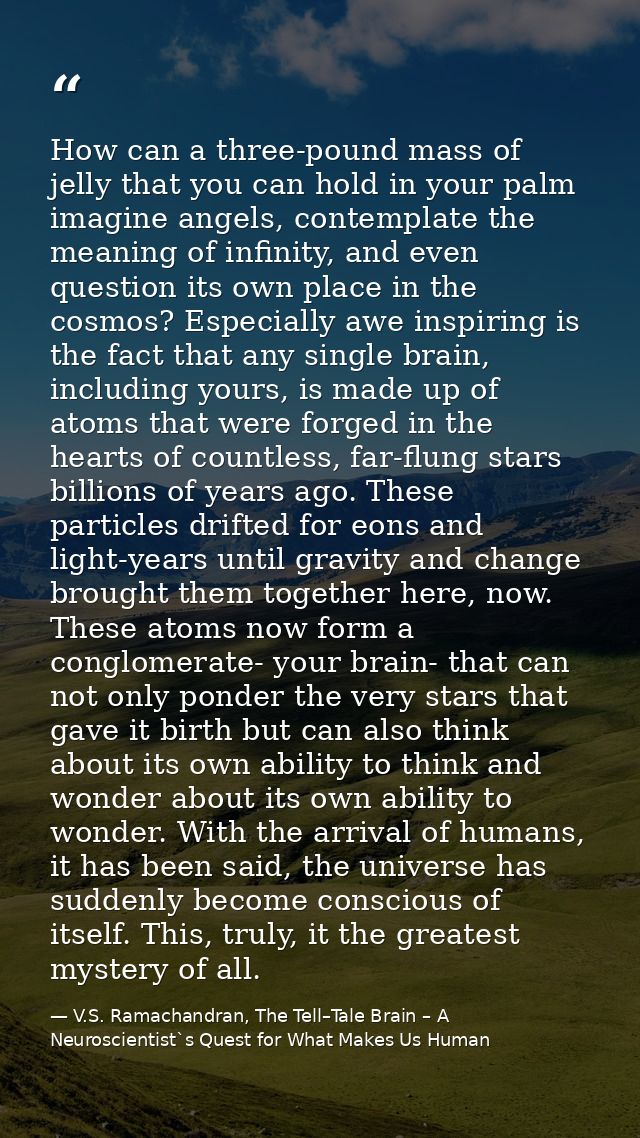 How can a three-pound mass of jelly that you can hold in your palm imagine angels, contemplate the meaning of infinity,  — V.S. Ramachandran, The Tell–Tale Brain – A Neuroscientist`s Quest for What Makes Us Human