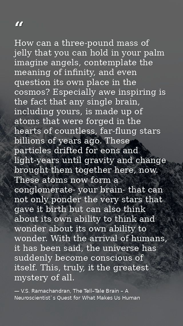 How can a three-pound mass of jelly that you can hold in your palm imagine angels, contemplate the meaning of infinity,  — V.S. Ramachandran, The Tell–Tale Brain – A Neuroscientist`s Quest for What Makes Us Human