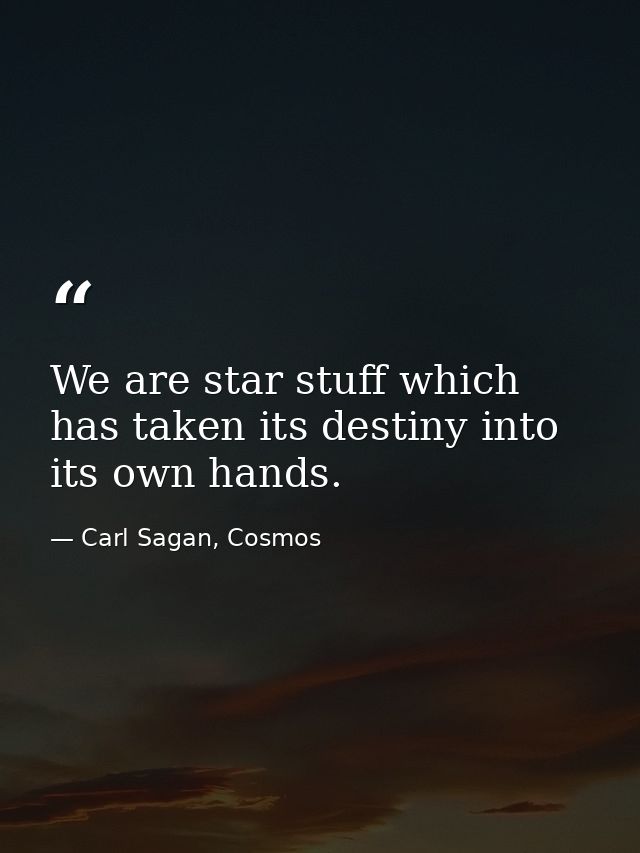 We are star stuff which has taken its destiny into its own hands. — Carl Sagan, Cosmos