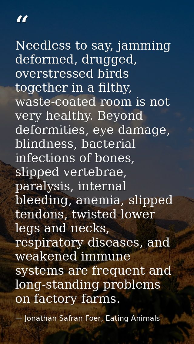 Needless to say, jamming deformed, drugged, overstressed birds together in a filthy, waste-coated room is not very healt — Jonathan Safran Foer, Eating Animals