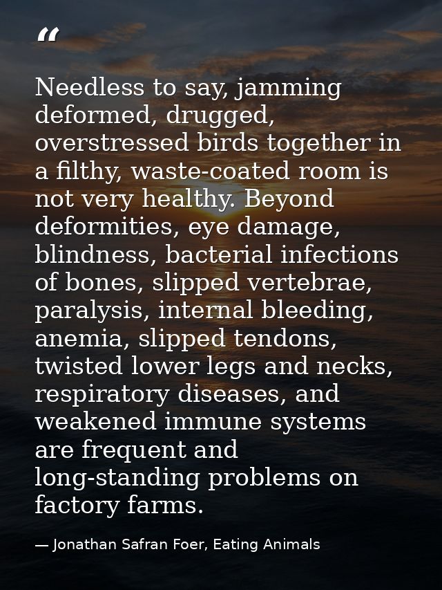 Needless to say, jamming deformed, drugged, overstressed birds together in a filthy, waste-coated room is not very healt — Jonathan Safran Foer, Eating Animals