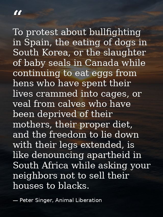 To protest about bullfighting in Spain, the eating of dogs in South Korea, or the slaughter of baby seals in Canada whil — Peter Singer, Animal Liberation