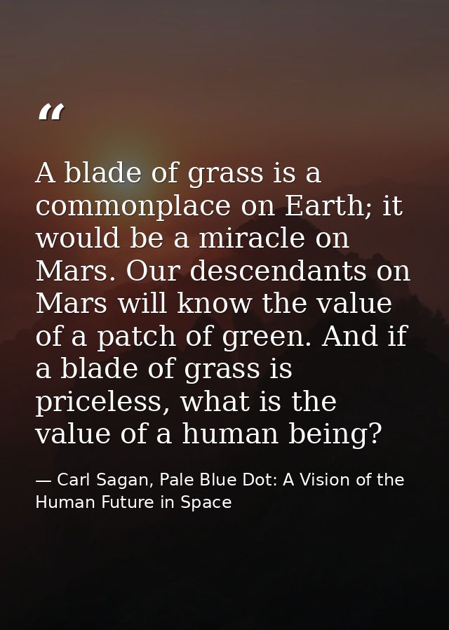 A blade of grass is a commonplace on Earth; it would be a miracle on Mars. Our descendants on Mars will know the value o — Carl Sagan, Pale Blue Dot: A Vision of the Human Future in Space