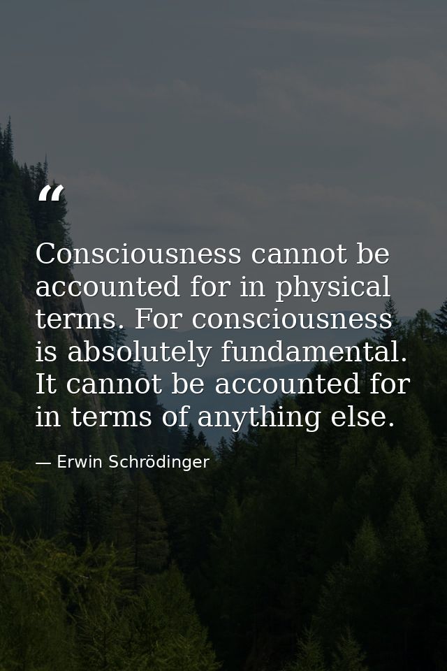 Consciousness cannot be accounted for in physical terms. For consciousness is absolutely fundamental. It cannot be accou — Erwin Schrödinger