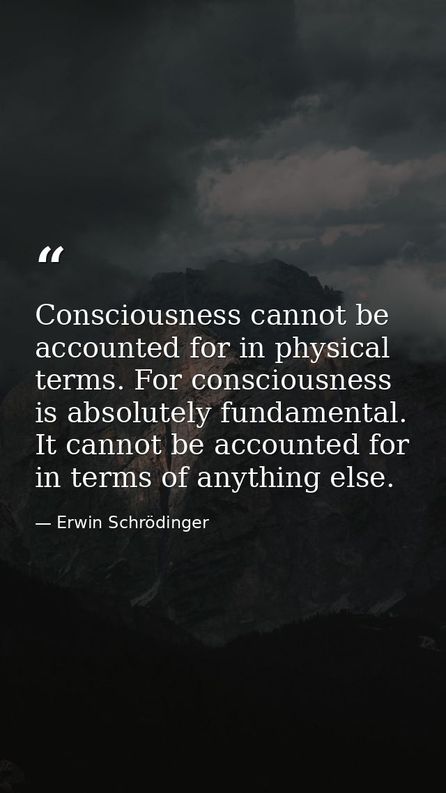 Consciousness cannot be accounted for in physical terms. For consciousness is absolutely fundamental. It cannot be accou — Erwin Schrödinger
