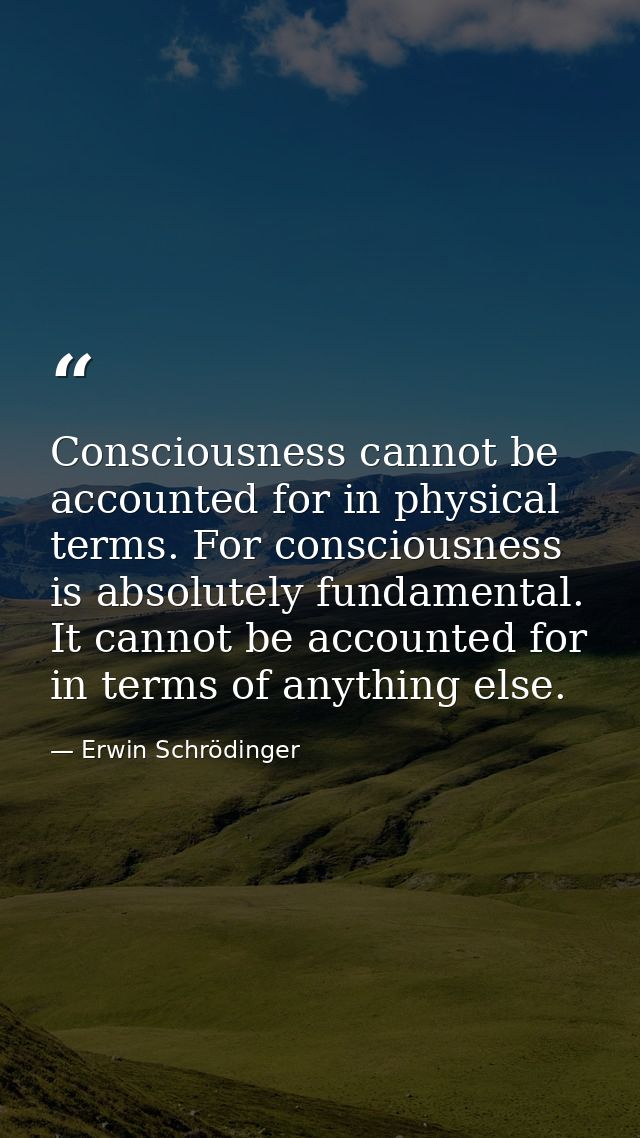 Consciousness cannot be accounted for in physical terms. For consciousness is absolutely fundamental. It cannot be accou — Erwin Schrödinger