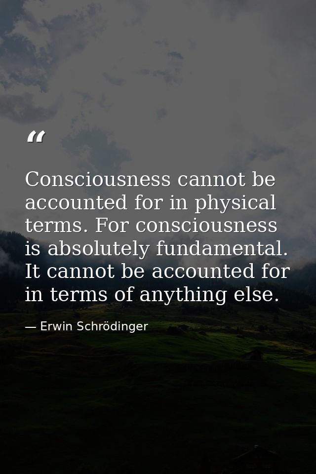 Consciousness cannot be accounted for in physical terms. For consciousness is absolutely fundamental. It cannot be accou — Erwin Schrödinger