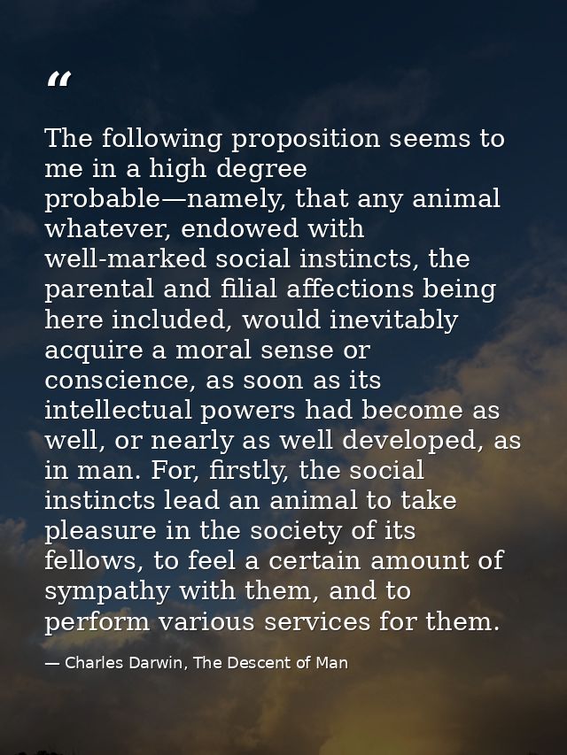 The following proposition seems to me in a high degree probable—namely, that any animal whatever, endowed with well-mark — Charles Darwin, The Descent of Man