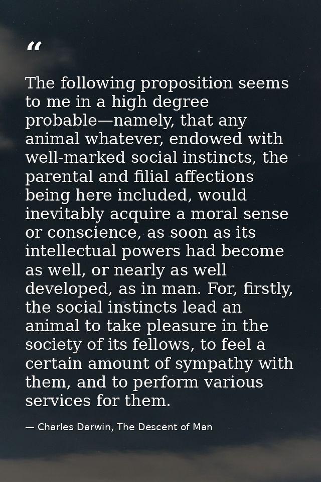 The following proposition seems to me in a high degree probable—namely, that any animal whatever, endowed with well-mark — Charles Darwin, The Descent of Man