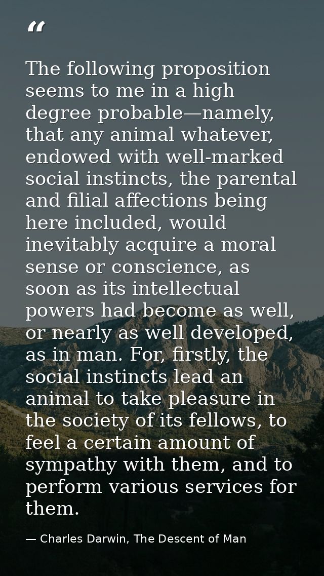 The following proposition seems to me in a high degree probable—namely, that any animal whatever, endowed with well-mark — Charles Darwin, The Descent of Man