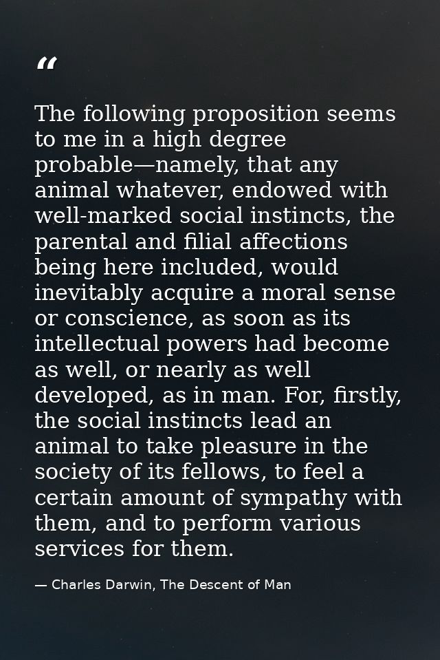 The following proposition seems to me in a high degree probable—namely, that any animal whatever, endowed with well-mark — Charles Darwin, The Descent of Man