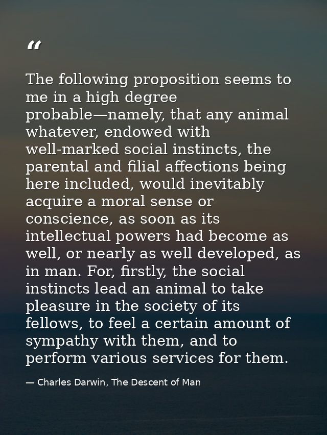 The following proposition seems to me in a high degree probable—namely, that any animal whatever, endowed with well-mark — Charles Darwin, The Descent of Man