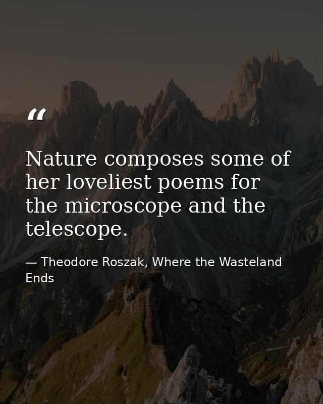 Nature composes some of her loveliest poems for the microscope and the telescope. — Theodore Roszak, Where the Wasteland Ends