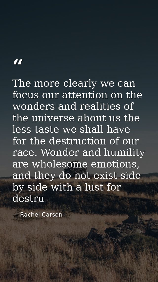The more clearly we can focus our attention on the wonders and realities of the universe about us the less taste we shal — Rachel Carson