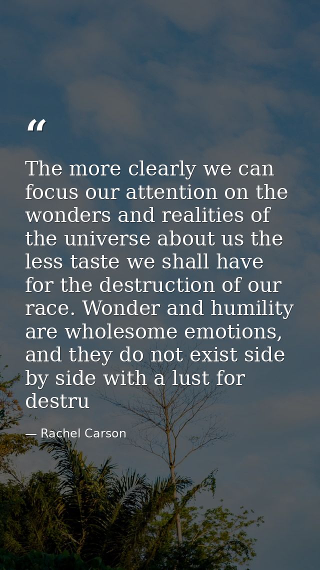 The more clearly we can focus our attention on the wonders and realities of the universe about us the less taste we shal — Rachel Carson