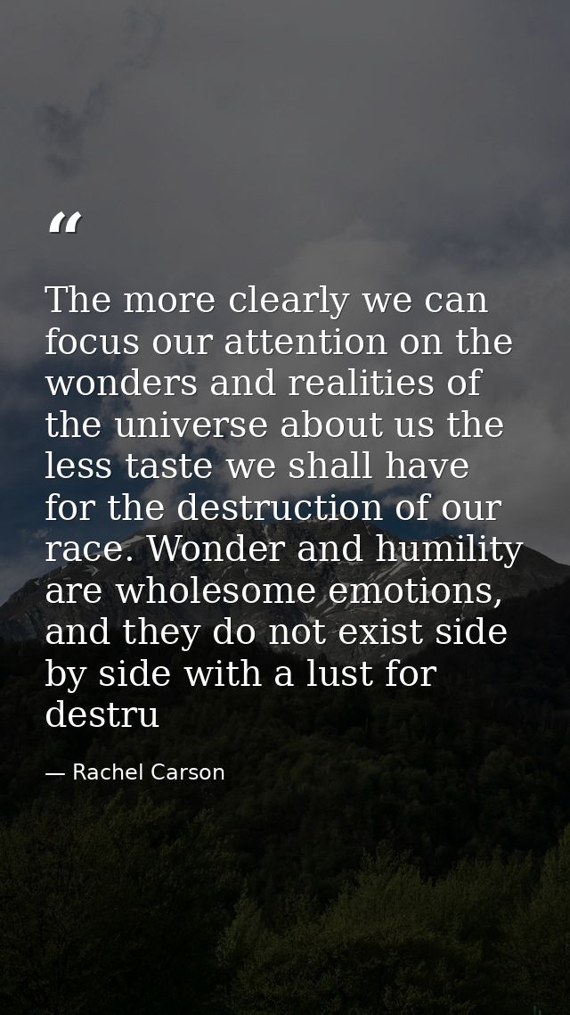 The more clearly we can focus our attention on the wonders and realities of the universe about us the less taste we shal — Rachel Carson