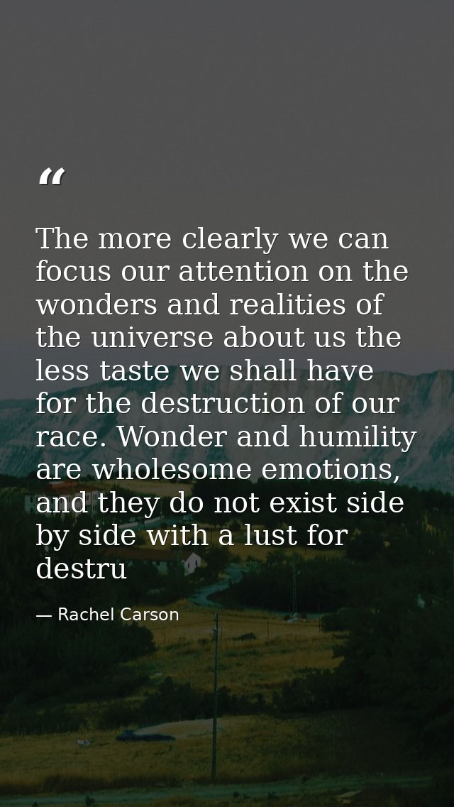 The more clearly we can focus our attention on the wonders and realities of the universe about us the less taste we shal — Rachel Carson