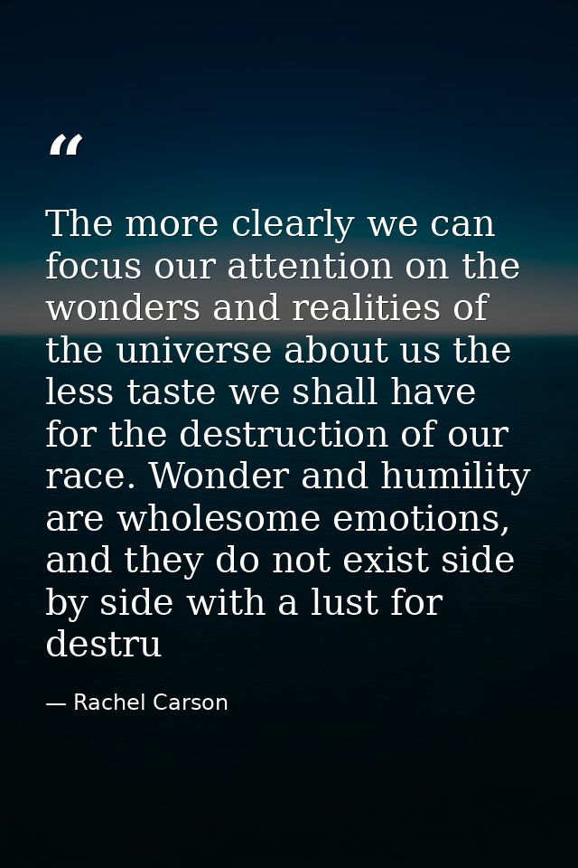 The more clearly we can focus our attention on the wonders and realities of the universe about us the less taste we shal — Rachel Carson