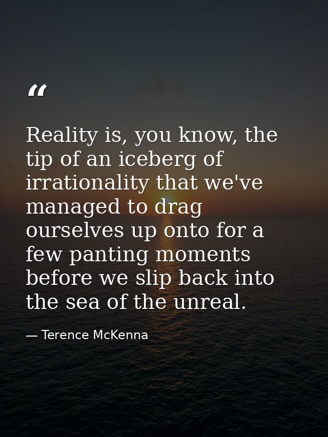 Reality is, you know, the tip of an iceberg of irrationality that we've managed to drag ourselves up onto for a few pant — Terence McKenna