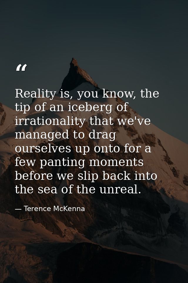 Reality is, you know, the tip of an iceberg of irrationality that we've managed to drag ourselves up onto for a few pant — Terence McKenna
