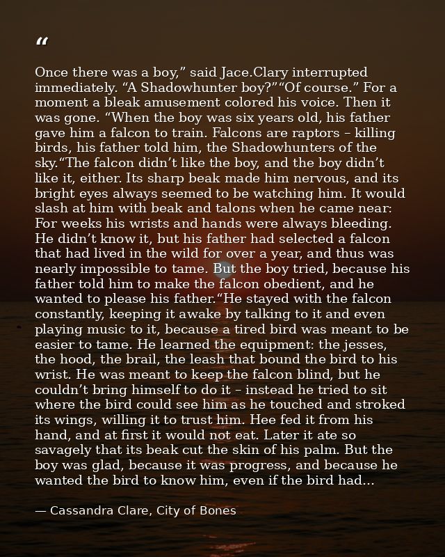 Once there was a boy,” said Jace.Clary interrupted immediately. “A Shadowhunter boy?”“Of course.” For a moment a bleak a — Cassandra Clare, City of Bones