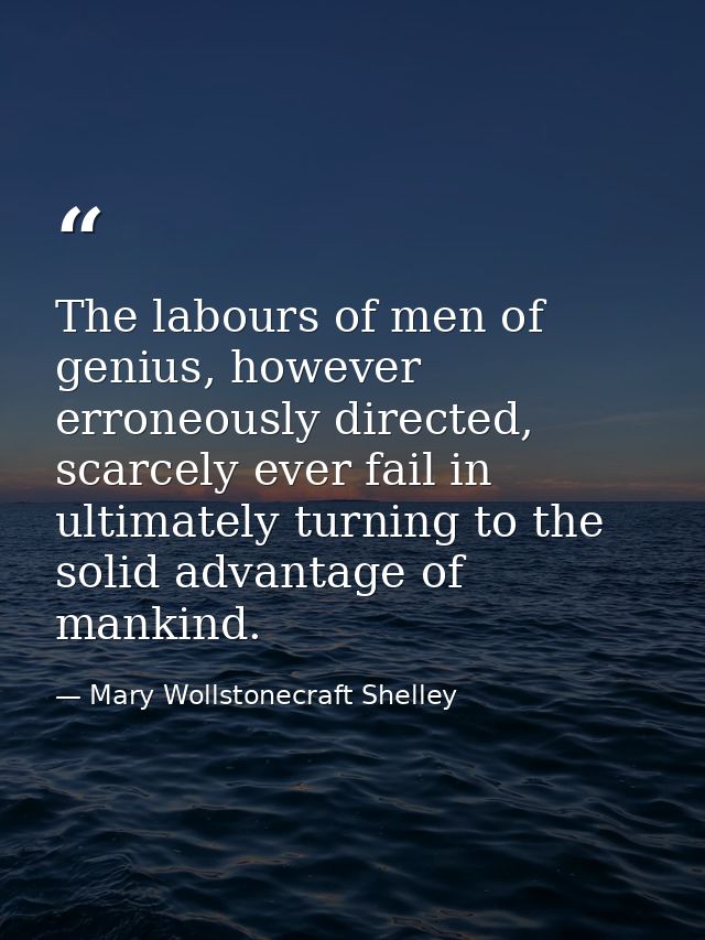 The labours of men of genius, however erroneously directed, scarcely ever fail in ultimately turning to the solid advant — Mary Wollstonecraft Shelley