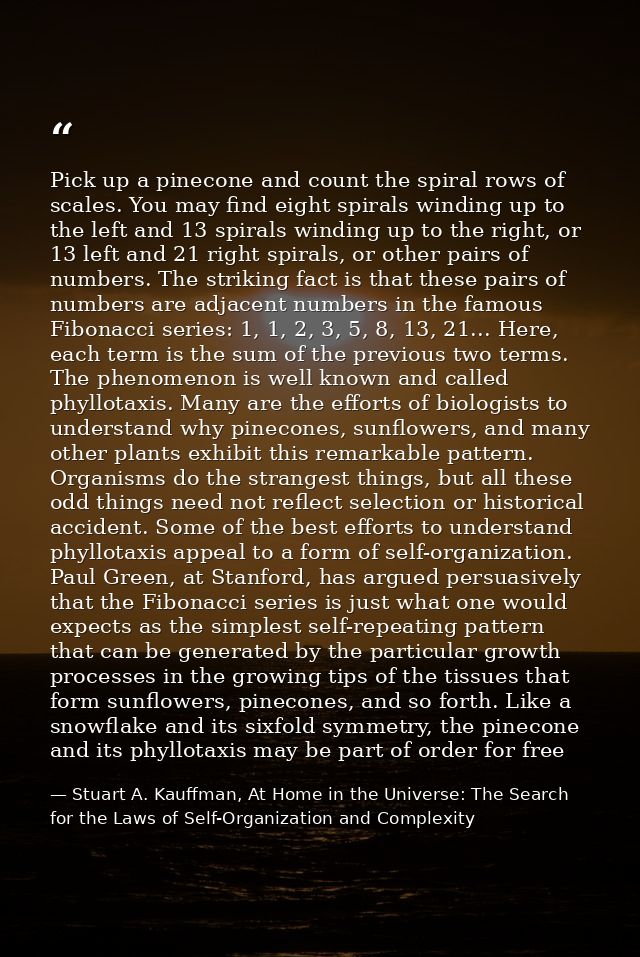 Pick up a pinecone and count the spiral rows of scales. You may find eight spirals winding up to the left and 13 spirals — Stuart A. Kauffman, At Home in the Universe: The Search for the Laws of Self-Organization and Complexity