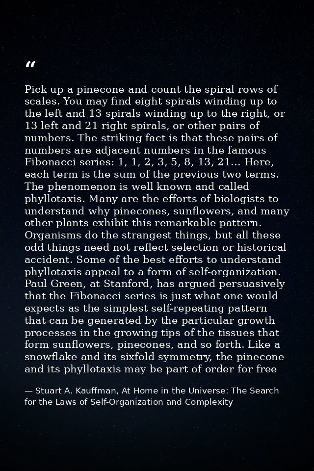 Pick up a pinecone and count the spiral rows of scales. You may find eight spirals winding up to the left and 13 spirals — Stuart A. Kauffman, At Home in the Universe: The Search for the Laws of Self-Organization and Complexity