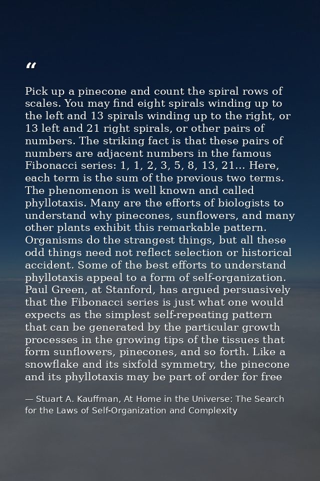 Pick up a pinecone and count the spiral rows of scales. You may find eight spirals winding up to the left and 13 spirals — Stuart A. Kauffman, At Home in the Universe: The Search for the Laws of Self-Organization and Complexity
