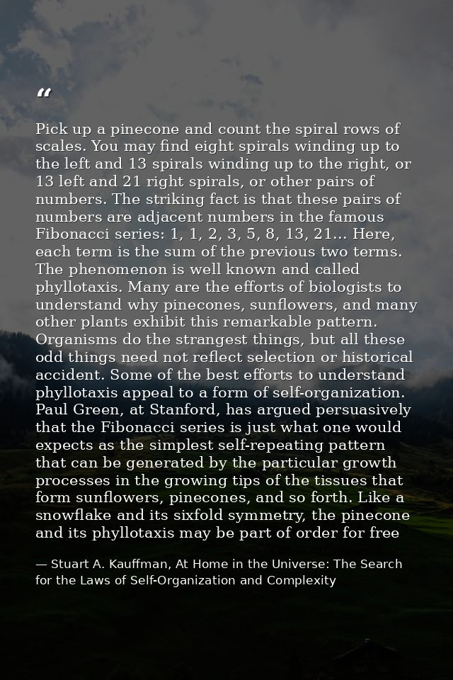 Pick up a pinecone and count the spiral rows of scales. You may find eight spirals winding up to the left and 13 spirals — Stuart A. Kauffman, At Home in the Universe: The Search for the Laws of Self-Organization and Complexity