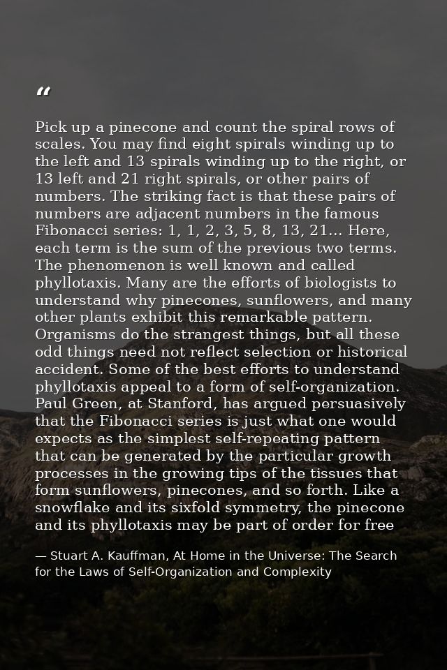 Pick up a pinecone and count the spiral rows of scales. You may find eight spirals winding up to the left and 13 spirals — Stuart A. Kauffman, At Home in the Universe: The Search for the Laws of Self-Organization and Complexity