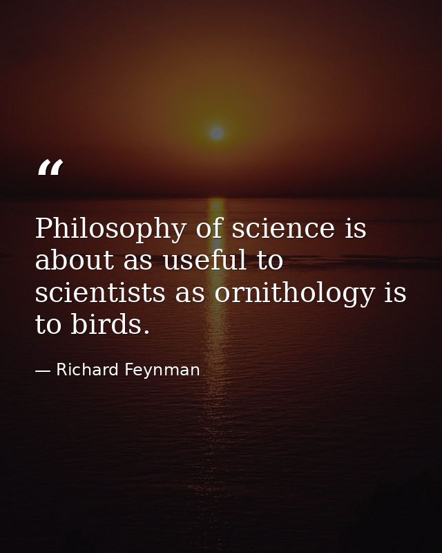 Philosophy of science is about as useful to scientists as ornithology is to birds. — Richard Feynman