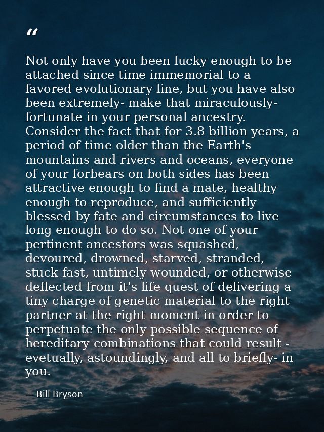 Not only have you been lucky enough to be attached since time immemorial to a favored evolutionary line, but you have al — Bill Bryson