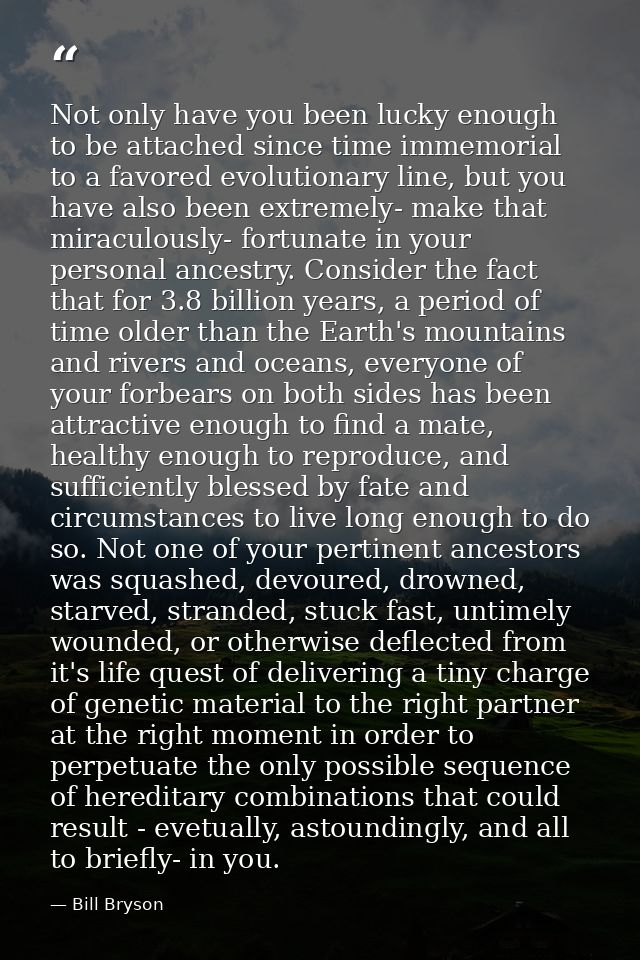 Not only have you been lucky enough to be attached since time immemorial to a favored evolutionary line, but you have al — Bill Bryson